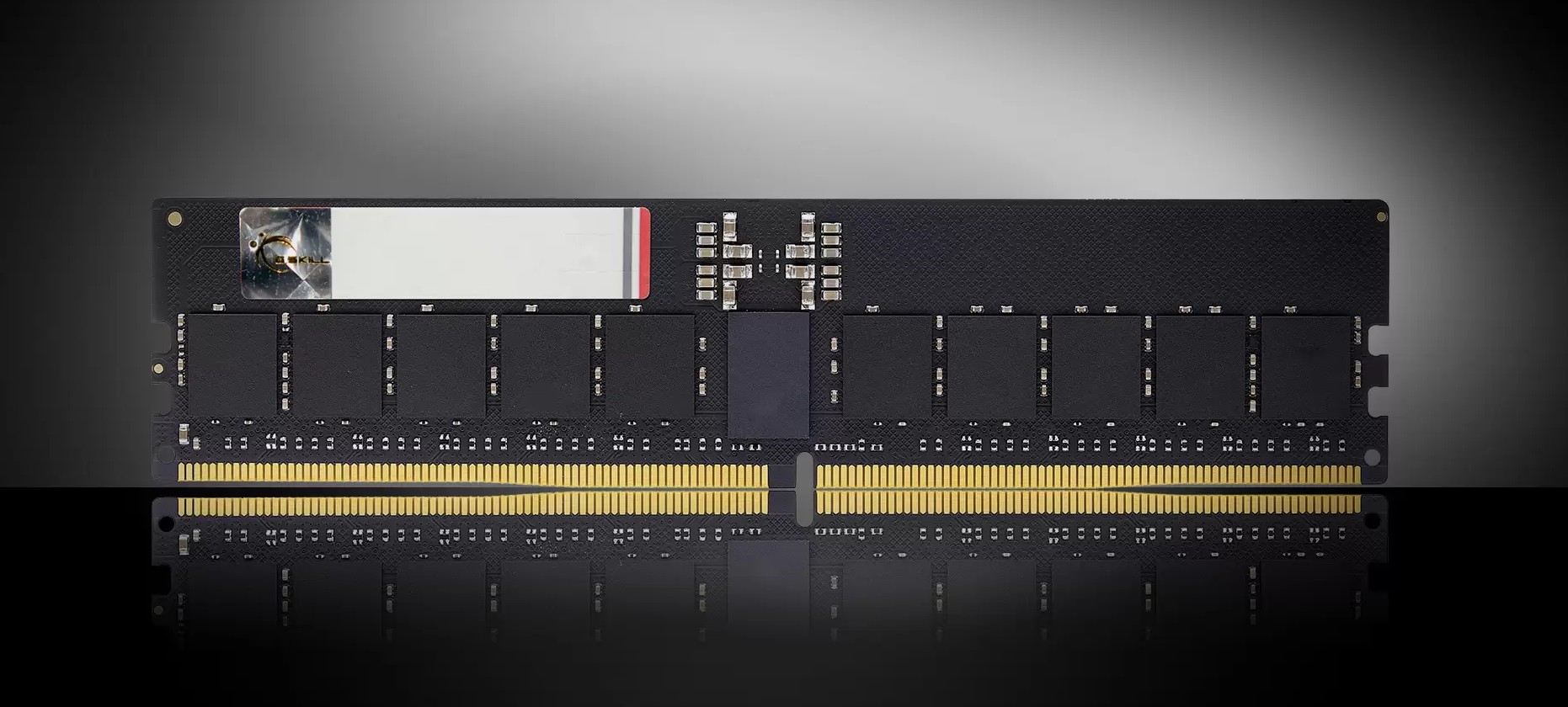 G.SKILL F5-6400R5252A48GX1-G5 48GB/ DDR5 6400 MT/s/ Timings 52-52-52-102/ Voltage 1.10V/Plug-and-Play ECC R-DIMM 5 YEARS WARRANTY
