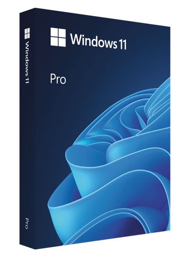 Microsoft Windows 11 Professional OEM 64-bit English 1 Pack DVD. Key NEW