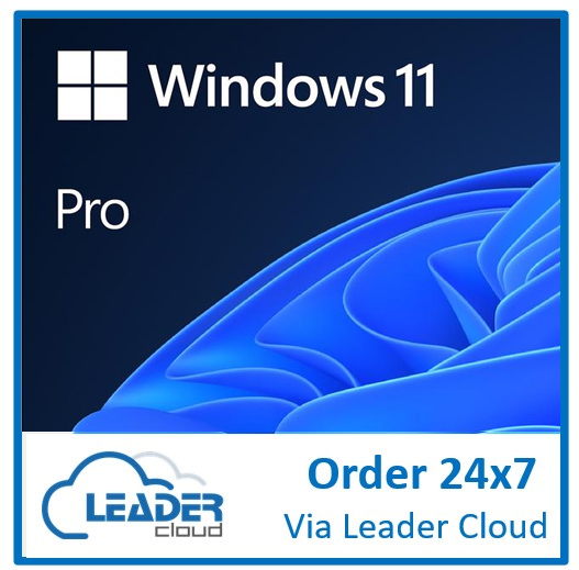 Microsoft ESD - Windows 11 Professional (ESD) Electronic License through CSP - No Refund. (Available through Leader Cloud)