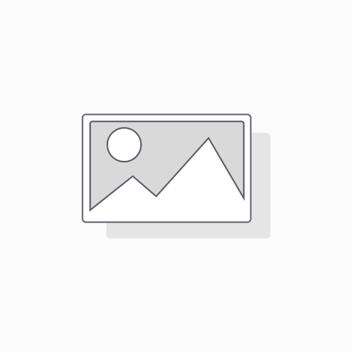 PTT SIM (Per Device) - Monthly