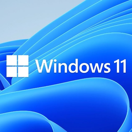 [SMSWIN11PROEM64] Microsoft Windows 11 Professional OEM 64-bit English 1 Pack